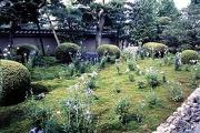天得院