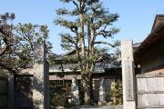 未生流笹岡家元