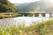 恋路橋