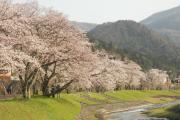野田川親水公園
