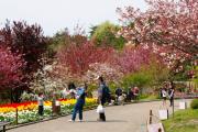 宇治市植物公園