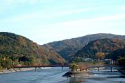 京都府立宇治公園　中の島
