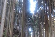 南丹市日吉町中世木区牧山集落