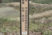 信楽街道～家康伊賀越えの道