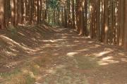 普甲峠