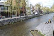 白川沿い