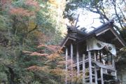 天岩戸神社　