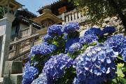 柳谷観音楊谷寺