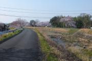 不動川