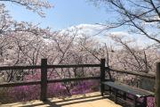 鴻ノ巣山
