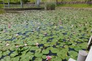 木津川台公園