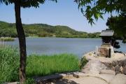 広沢池