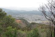 松尾山国有林