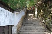 鞍馬山国有林