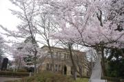 薬師ヶ丘さくらの森公園・震災記念館