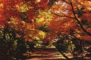 三段池公園