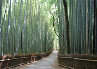 京都市メディア支援センター